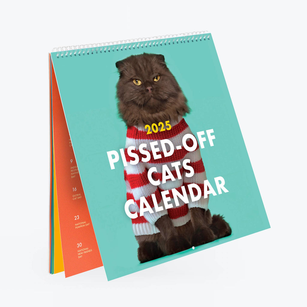 Pissed Off Cats - 2025 Calendar