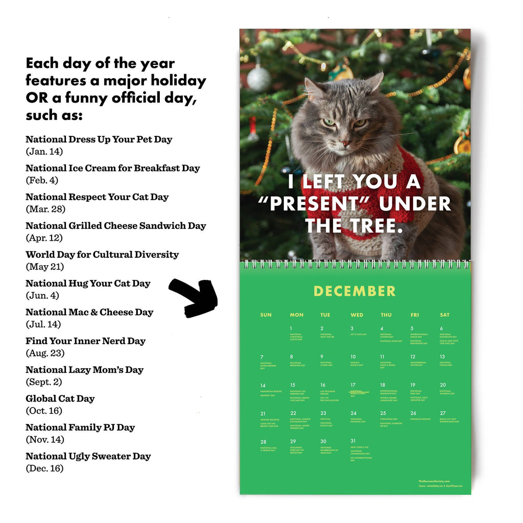 Pissed Off Cats - 2025 Calendar